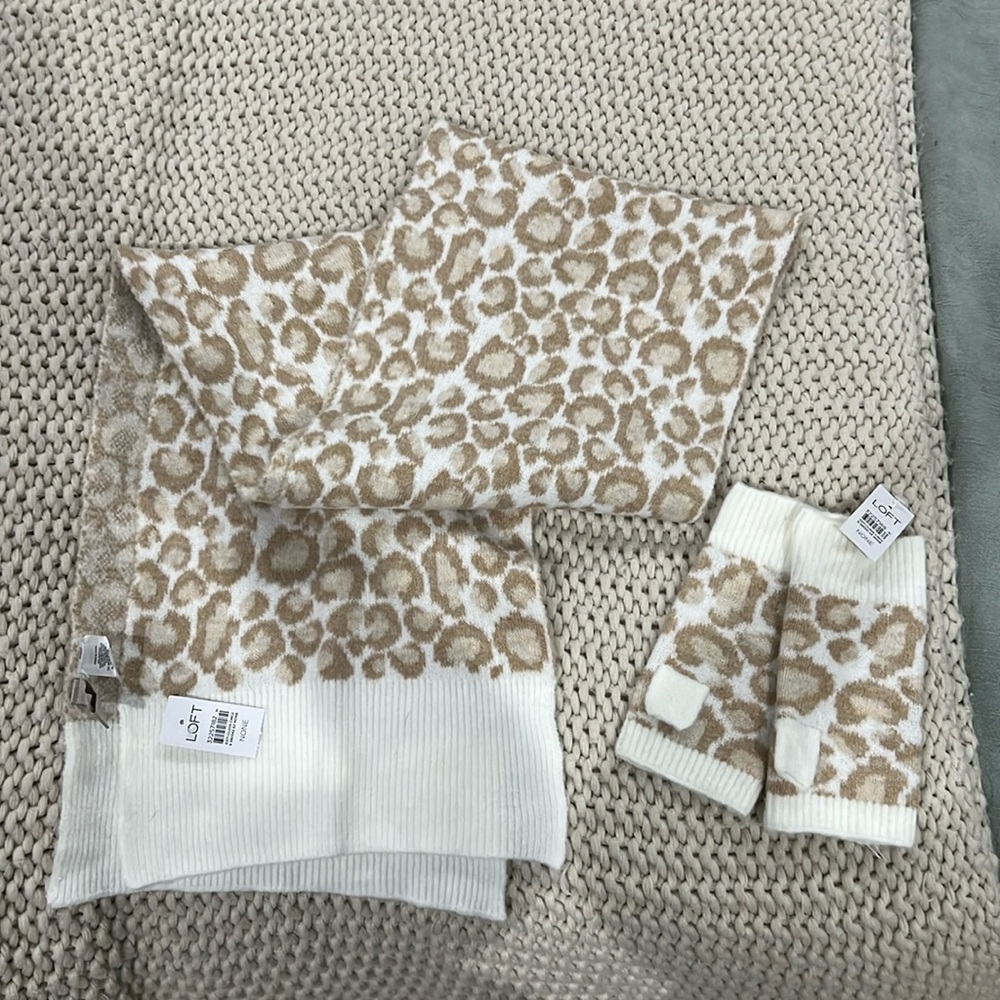 NWT loft scarf and fingerless gloves